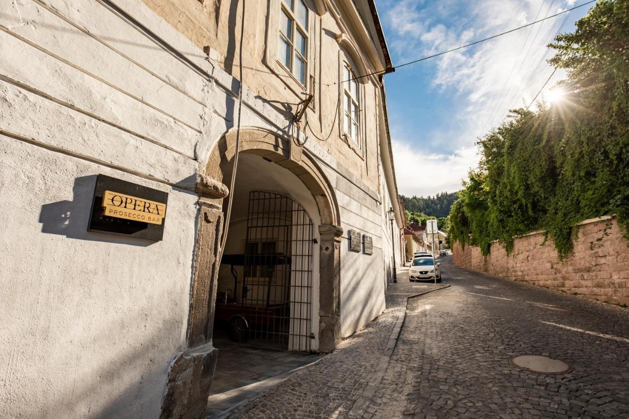 Apartman Blue Moon Banská Štiavnica 외부 사진